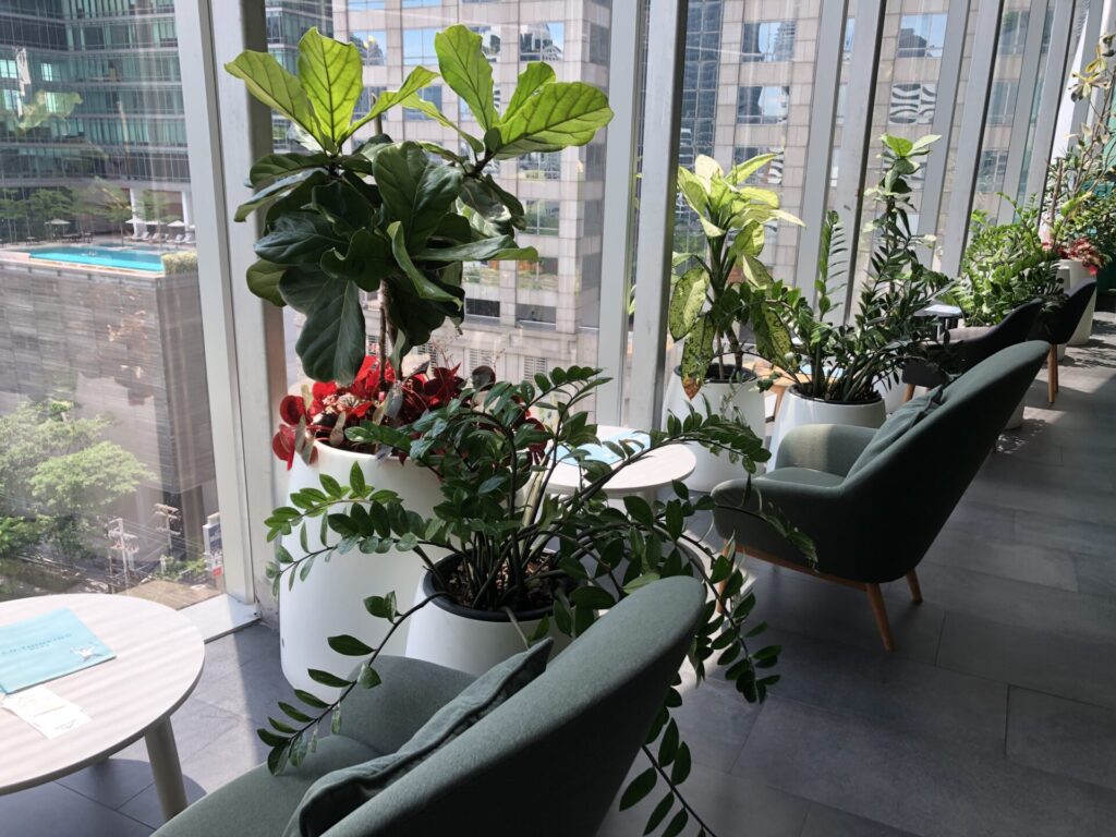 窓際の観葉植物のある席