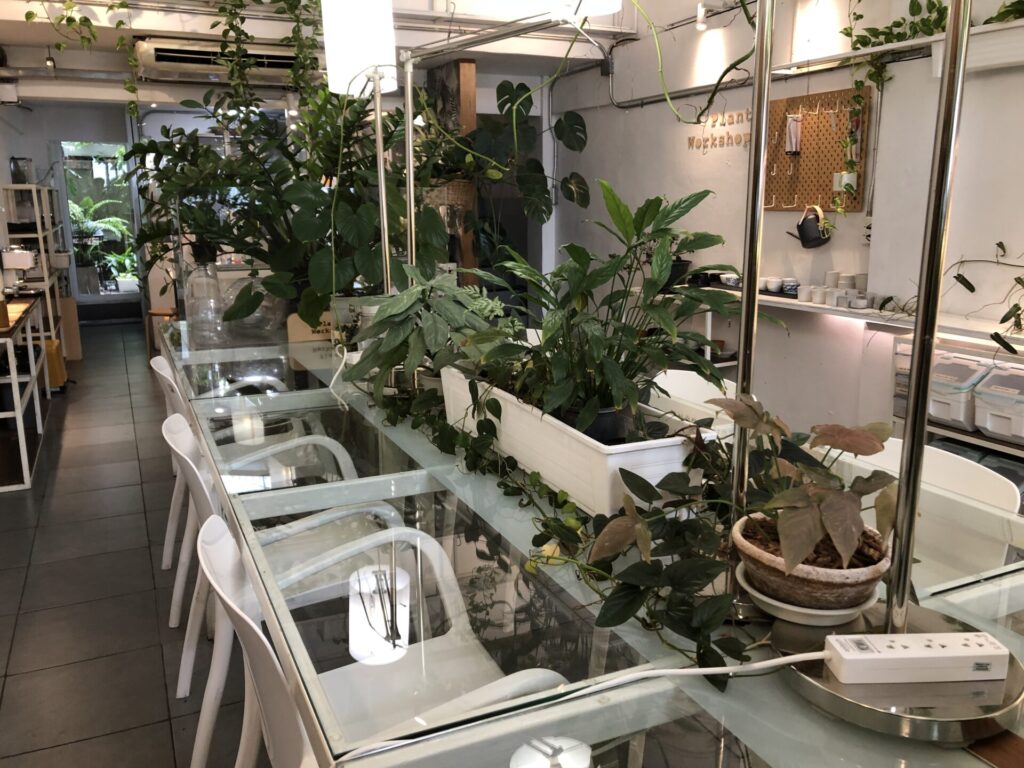 Plant Workshop Cafe