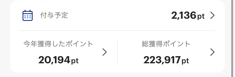 PayPayポイントの総獲得ポイント実績(223,917ポイント)
