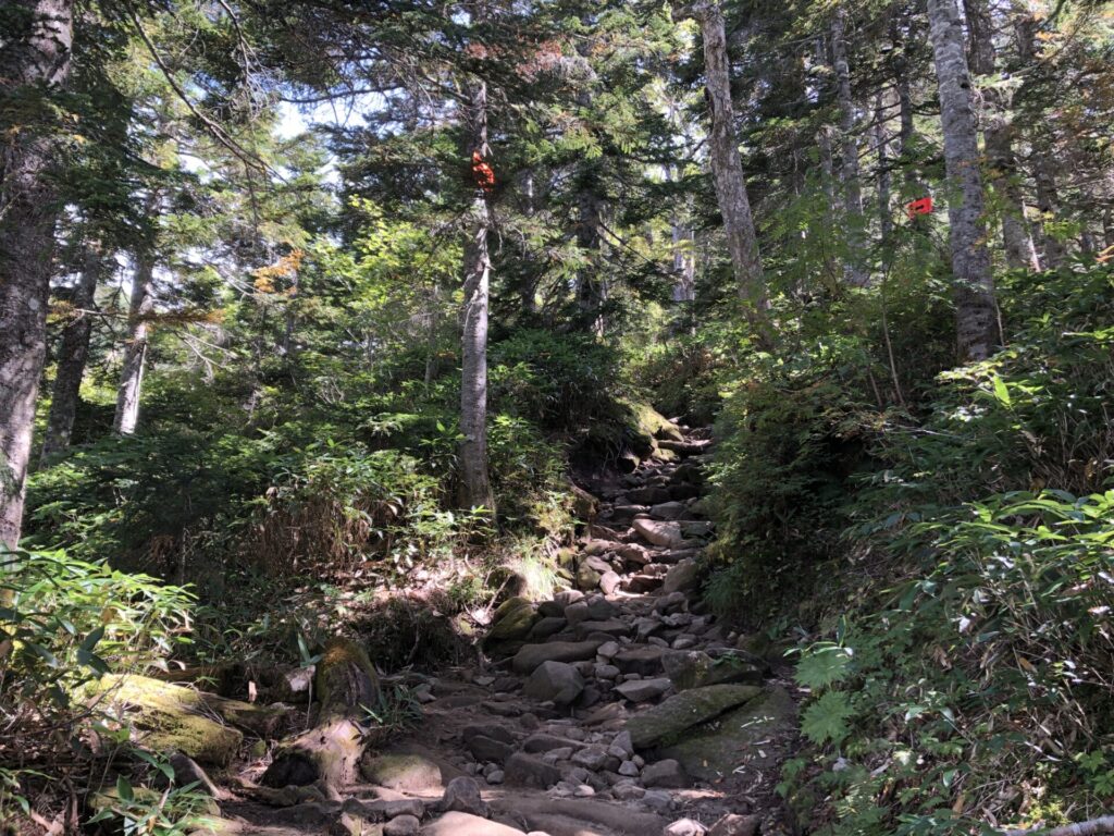 ゴツゴツした石のある山道