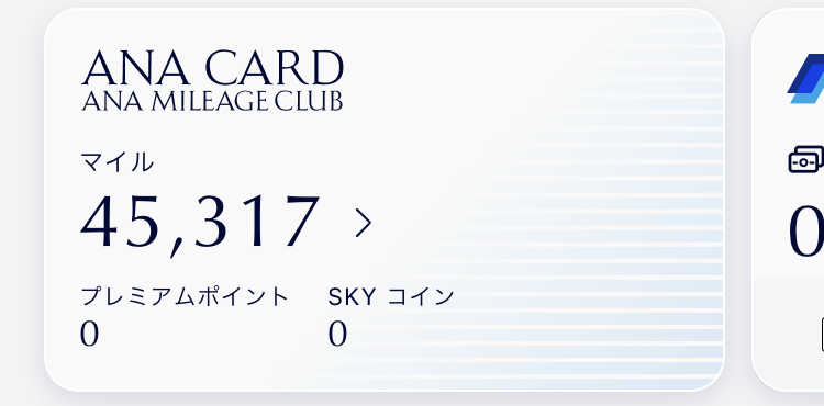 実際に貯めたANAの45,300マイル