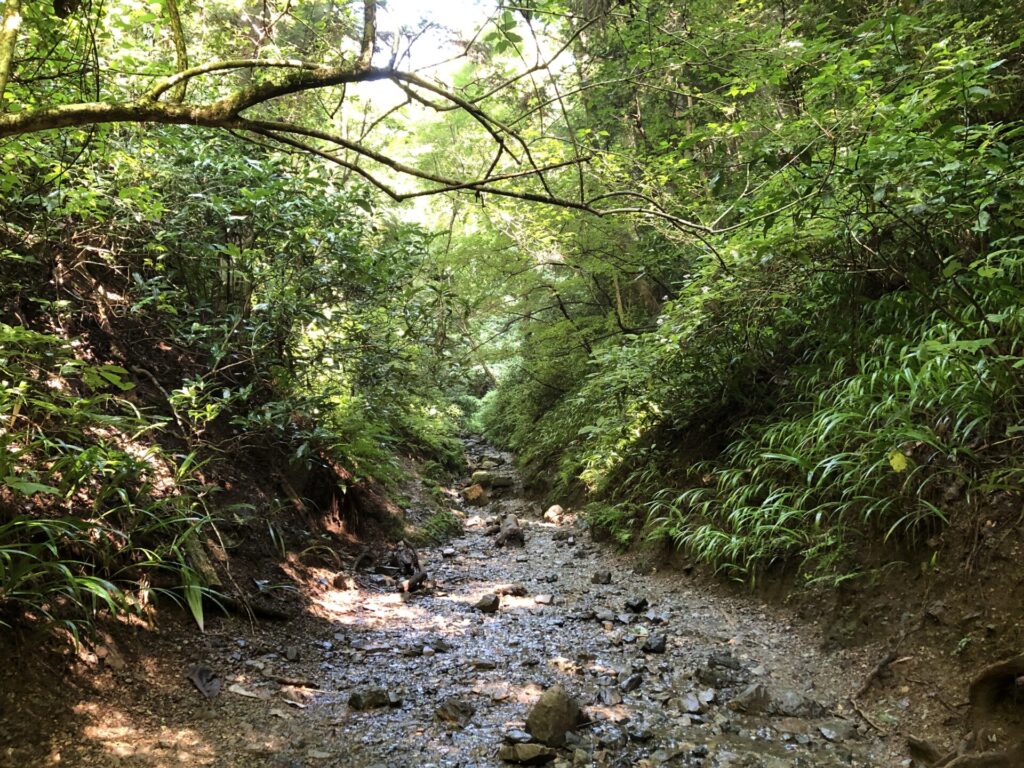 高尾山6号路の渓流
