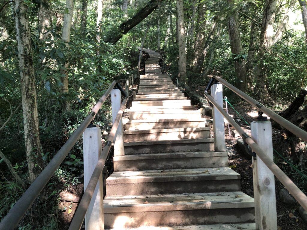 高尾山6号路の山頂手前の長い階段