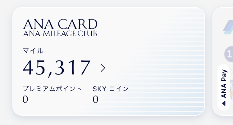貯めたANAマイル(45,317マイル)