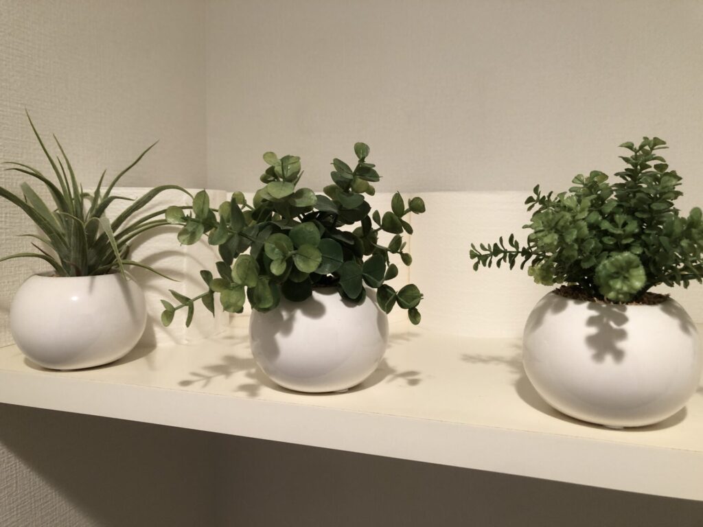 トイレットペーパーとその前にあるミニ観葉植物3つ