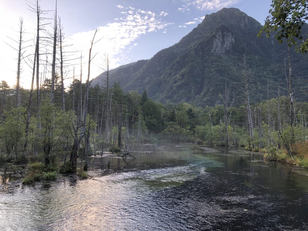 岳沢湿原