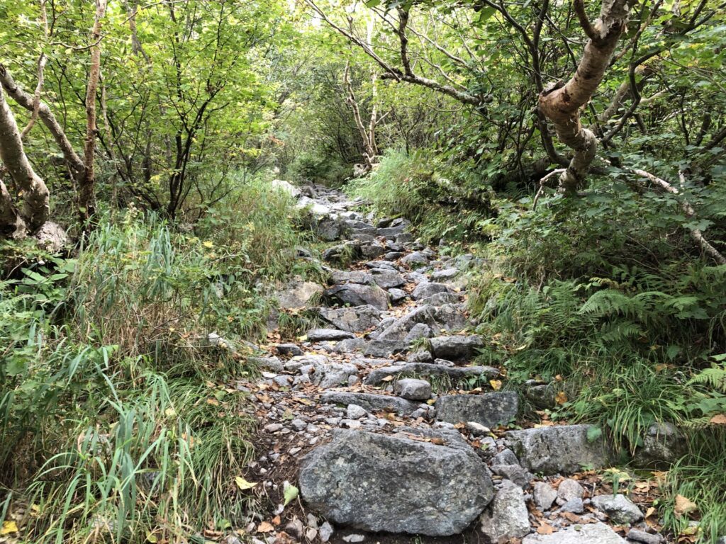 岳沢小屋に続く石段の緩い坂道