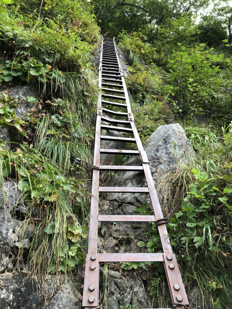 重太郎新道の長いはしご