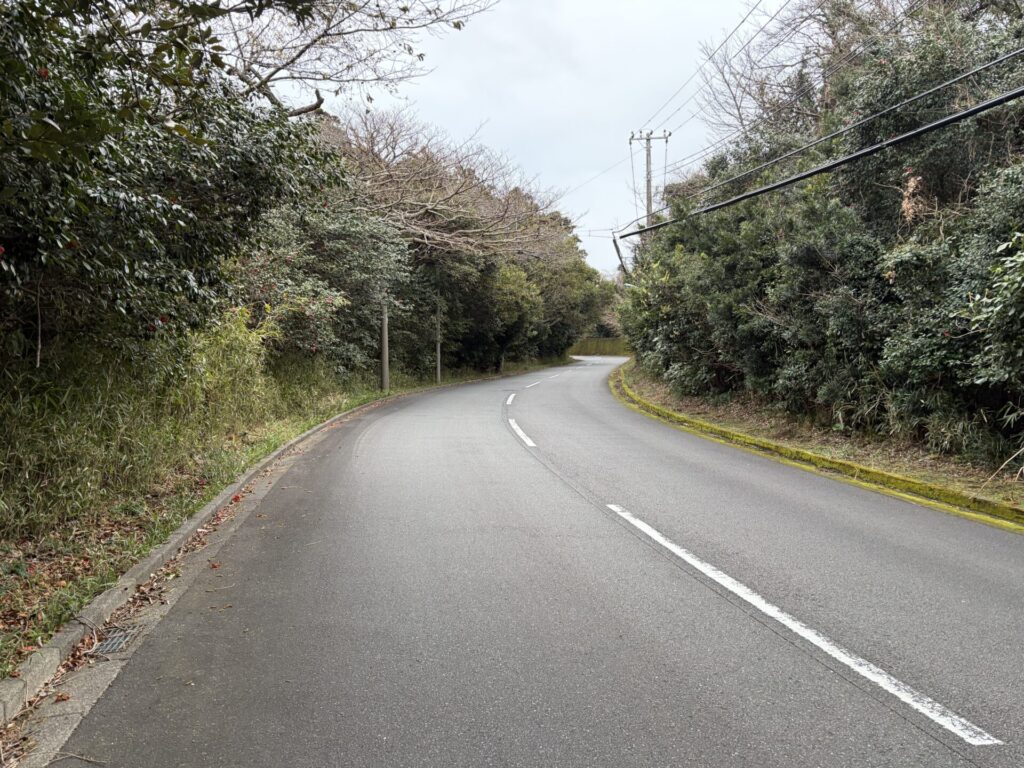 三原山山頂口へ向かう登り坂