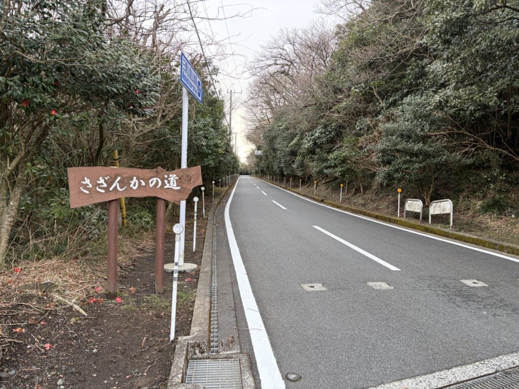 さざんかの道と