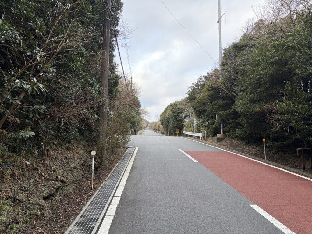 さざんかの道と