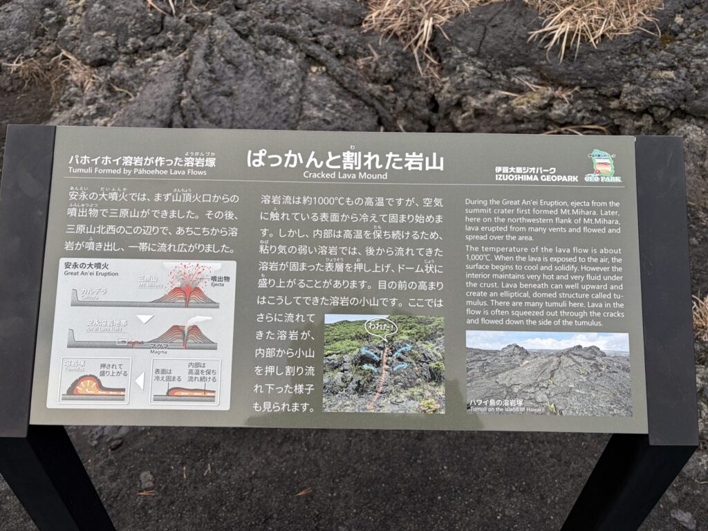 溶岩の解説板