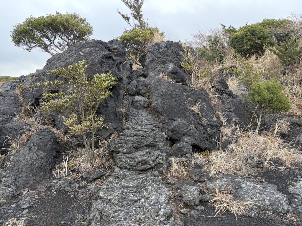 内部から押し上げられて左右に割れた溶岩